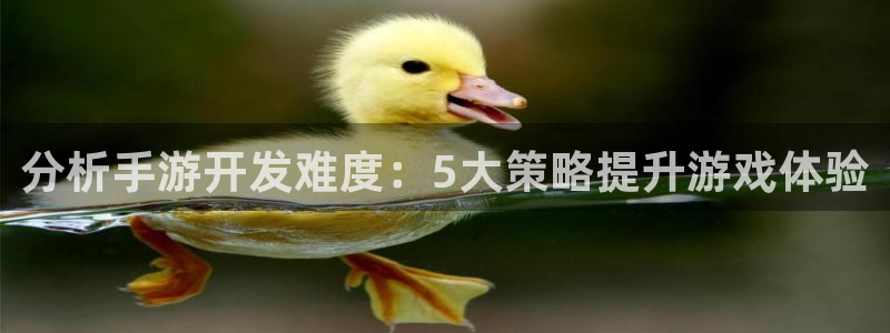 蓝图娱乐开奖结果查询：分析手游开发难度：5大策略提升游戏体验