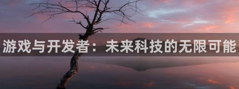 28大神网：游戏与开发者：未来科技的无限可能