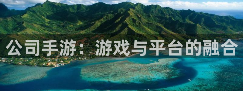 28大神加拿大：公司手游：游戏与平台的融合