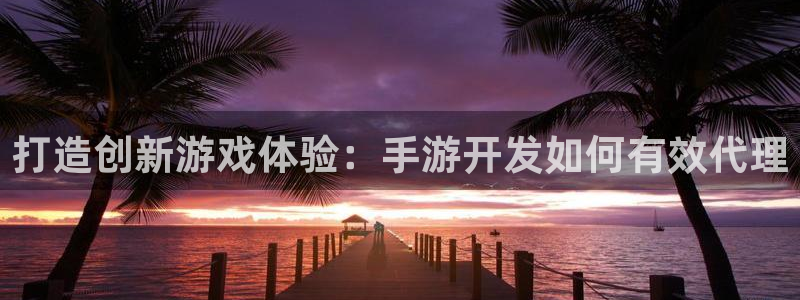 28.28大神：打造创新游戏体验：手游开发如何有效代理