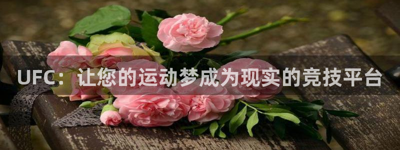 678体育官网