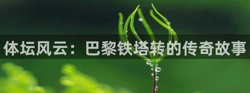 皇冠678体育