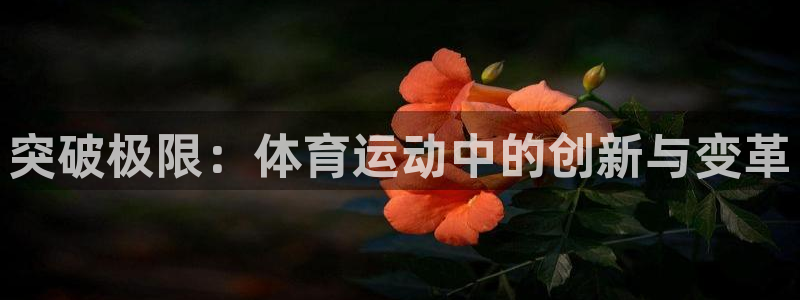 678体育官网