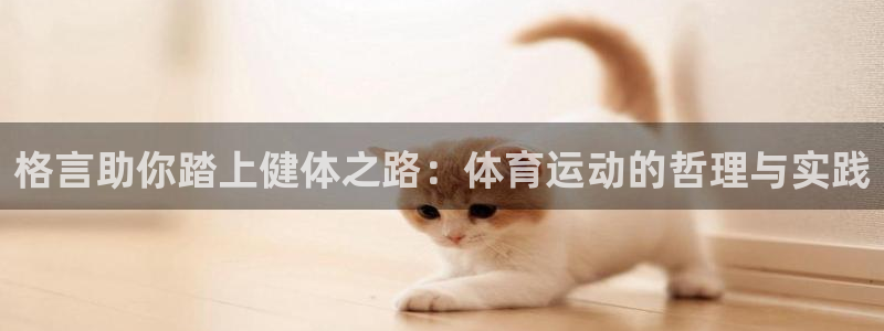 678体育知识