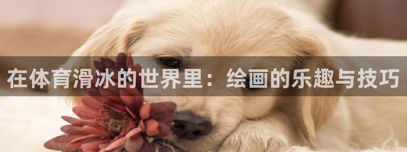 678体育官网地址
