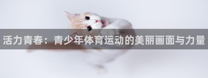 678体育官网