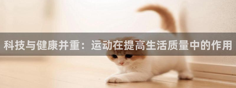 678体育app