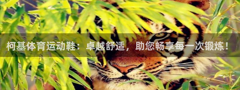 皇冠678体育