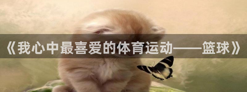 678体育知识