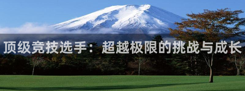 678体育官网