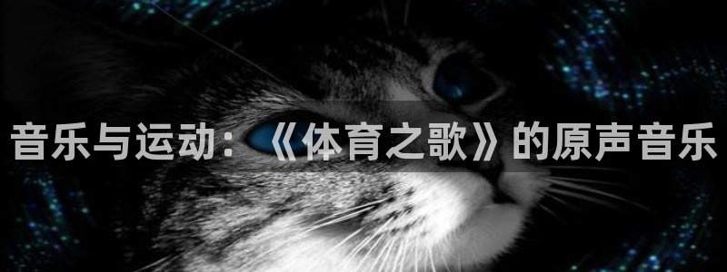 678体育知识