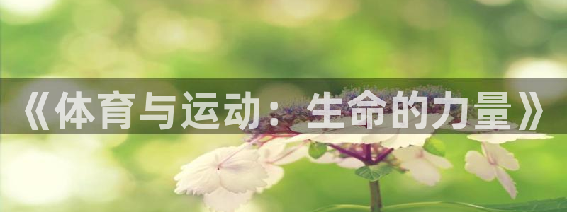 678体育知识
